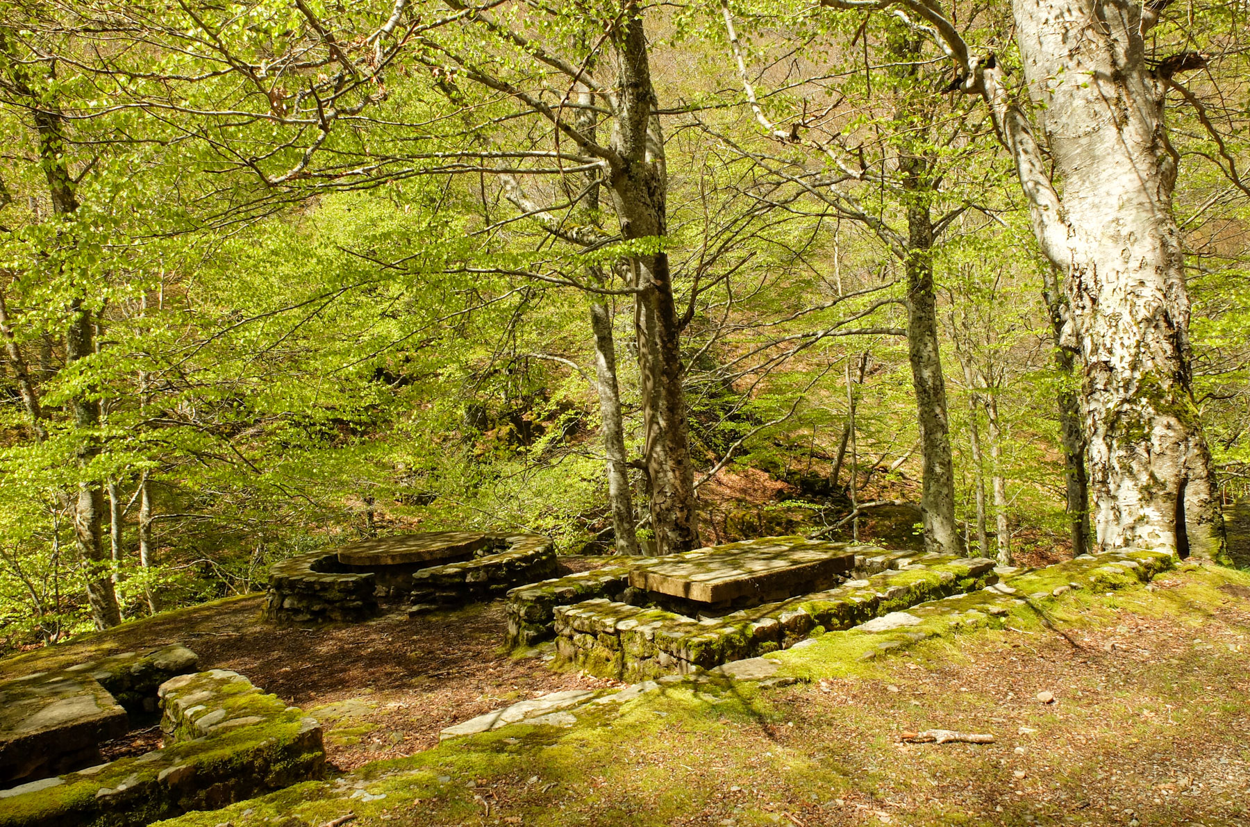 merendero en la Rioja