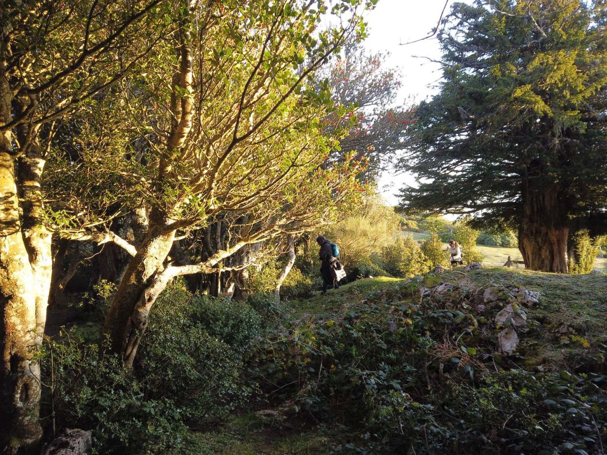 Bra&ntilde;a de los Tejos