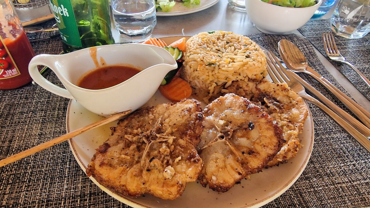 Cola de Cocodrilo, un manjar que se come en Botswana