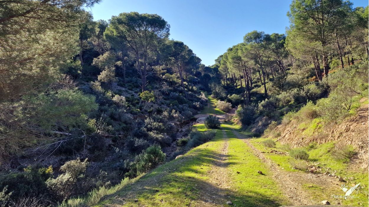 Por la Siberia Extremeña