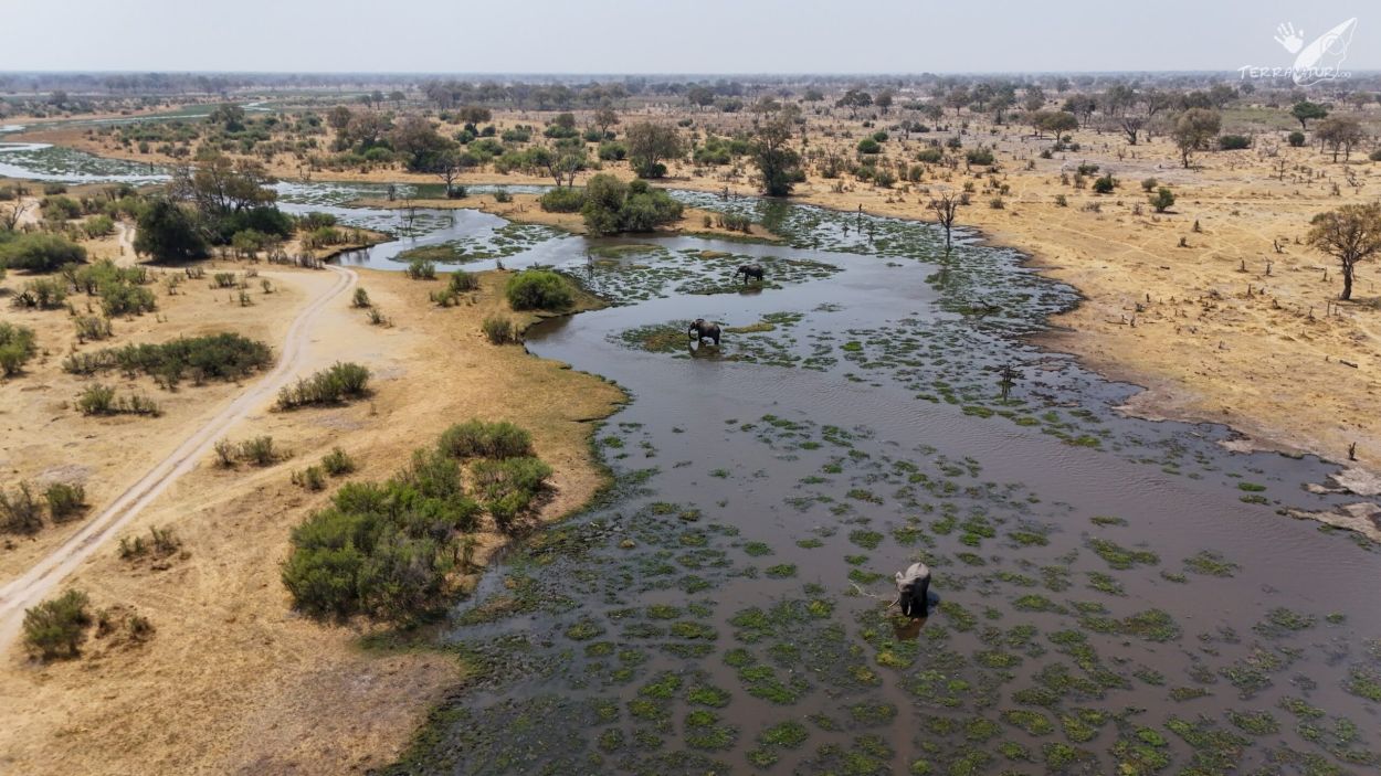 R&iacute;o Kawai cerca del delta del Okabango