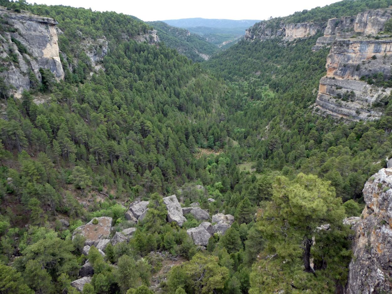 Serranía de Cuenca con Terranatur