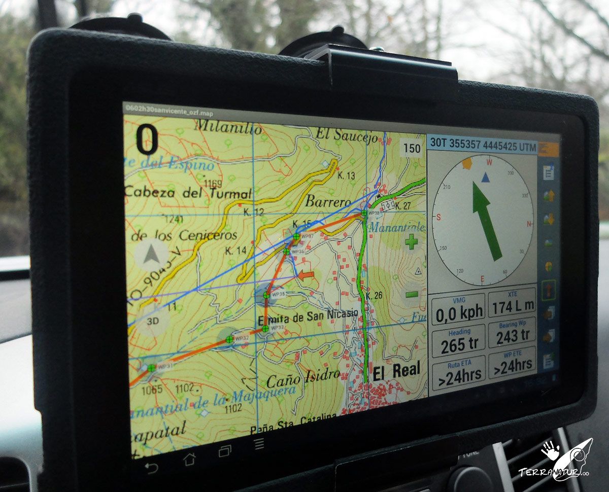 Yincana con Terranatur