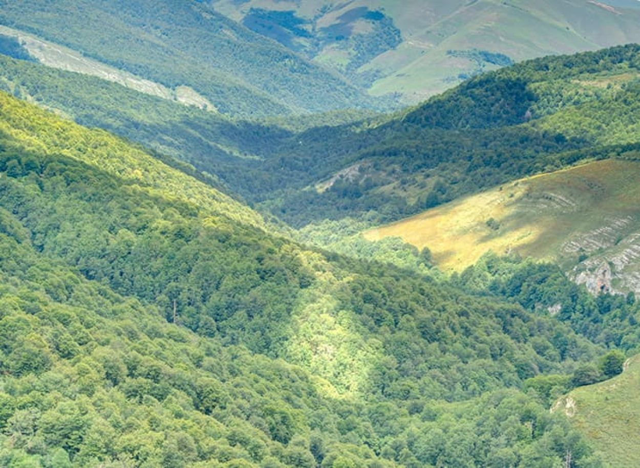 Parque Natural de Saja Besaya