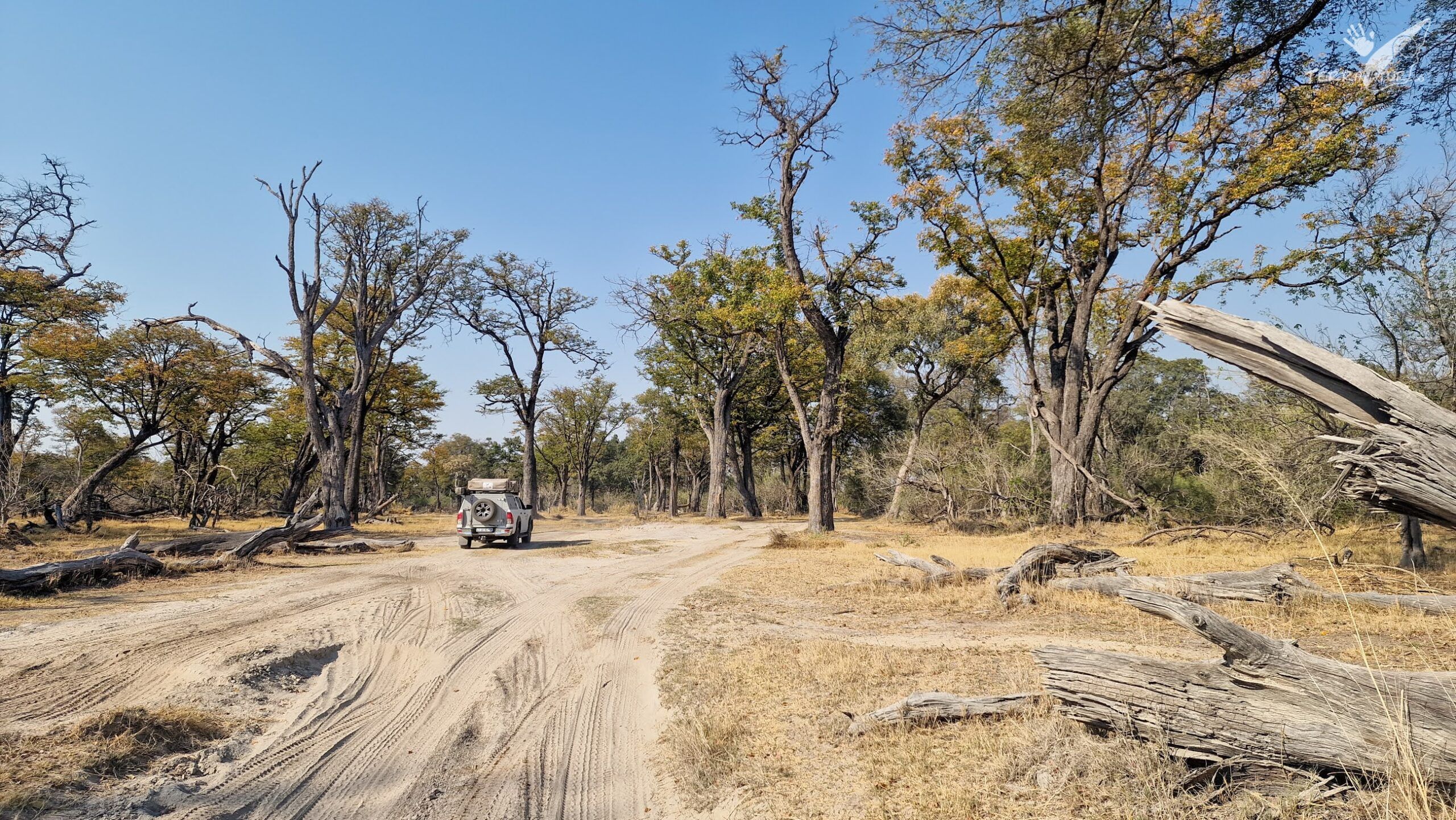 Camino del chobe