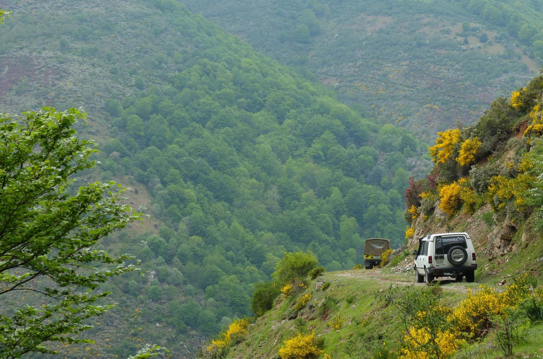 Bosques de Ezcaray