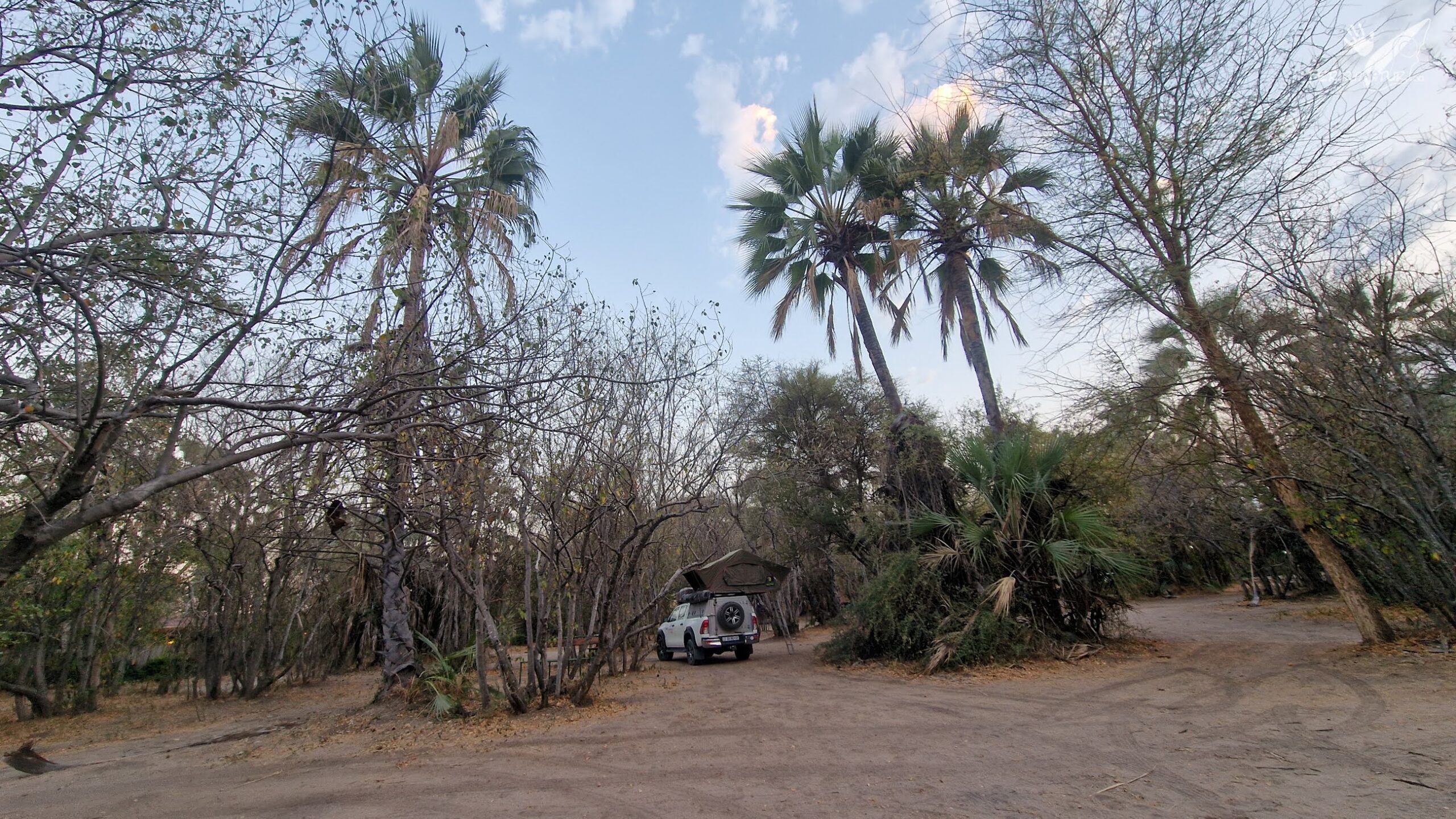 Acampada en Maun.