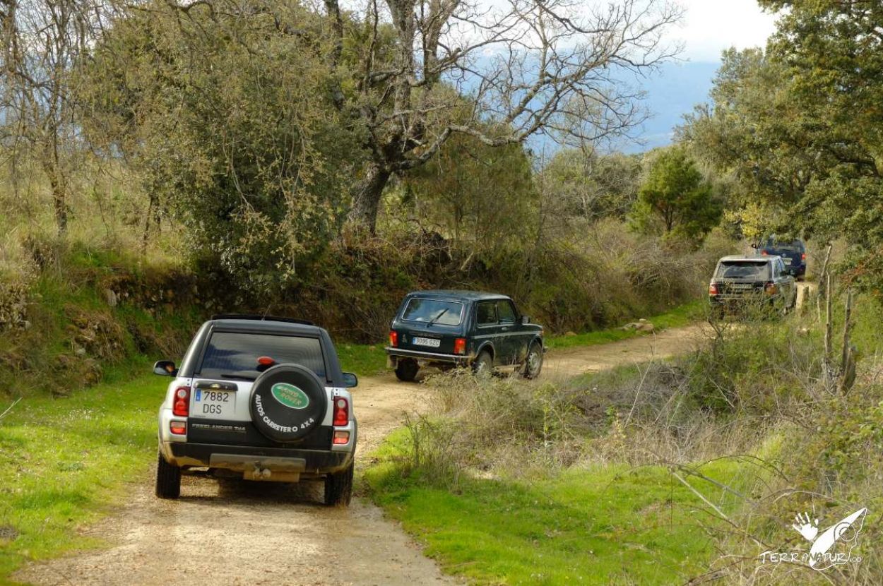 Almuerzo en campo